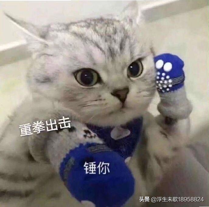 董明珠的店_董明珠的店官方网
