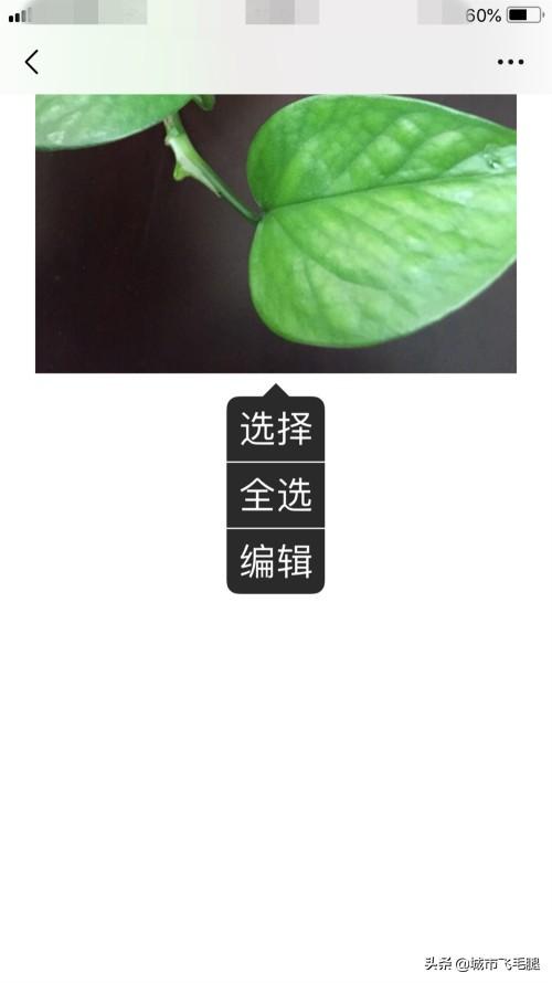 微信怎么拍一拍怎么加文字_微信怎么拍一拍怎么加文字发朋友圈
