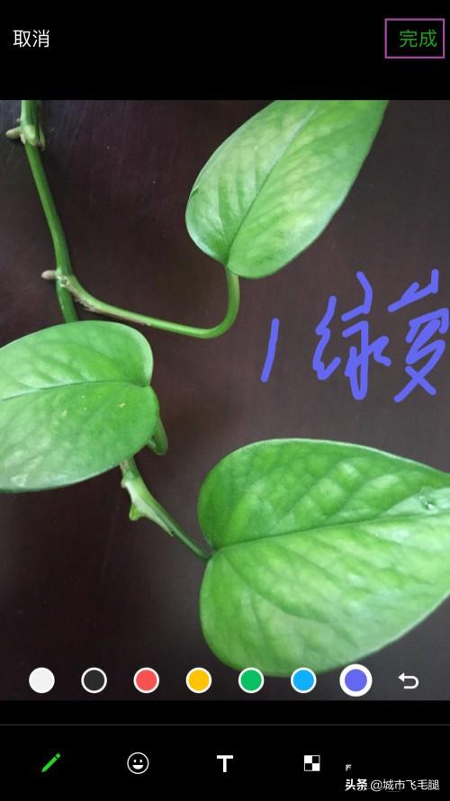 微信怎么拍一拍怎么加文字_微信怎么拍一拍怎么加文字发朋友圈