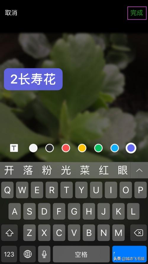 微信怎么拍一拍怎么加文字_微信怎么拍一拍怎么加文字发朋友圈