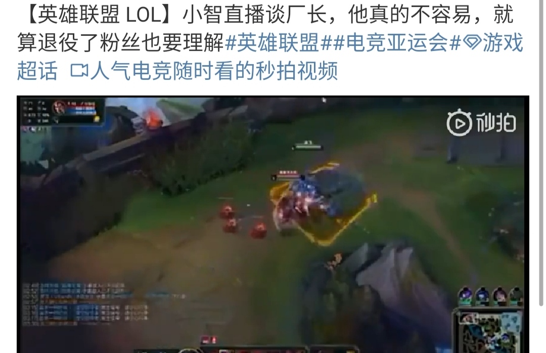 小智lol_小智lol解说第一视角