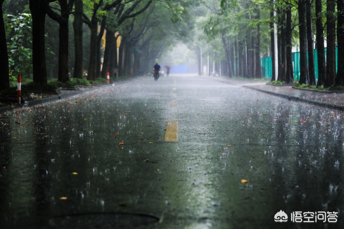 雨后的故事2_雨后的故事2完整版在线观看