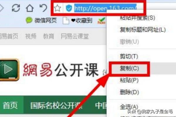 网易公开课怎么下载_网易公开课怎么下载到本地