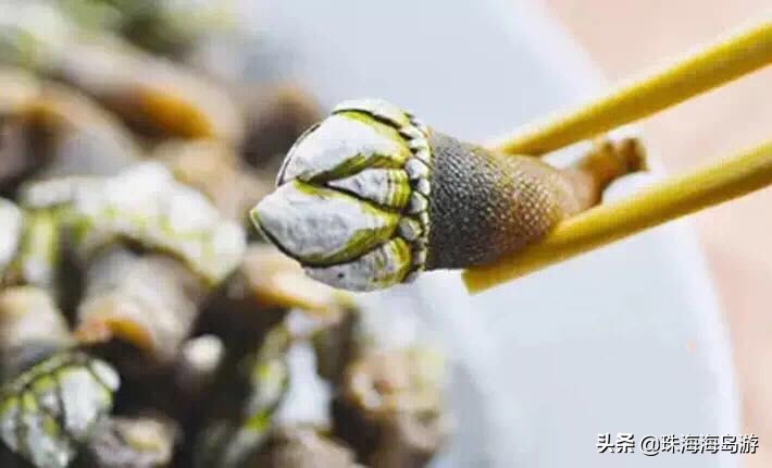 东航周末随心飞_东航周末随心飞订飞机票