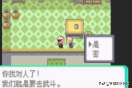 口袋妖怪漆黑的魅影_口袋妖怪漆黑的魅影5.0ex bw攻略