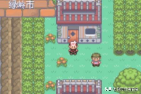口袋妖怪漆黑的魅影_口袋妖怪漆黑的魅影5.0ex bw攻略