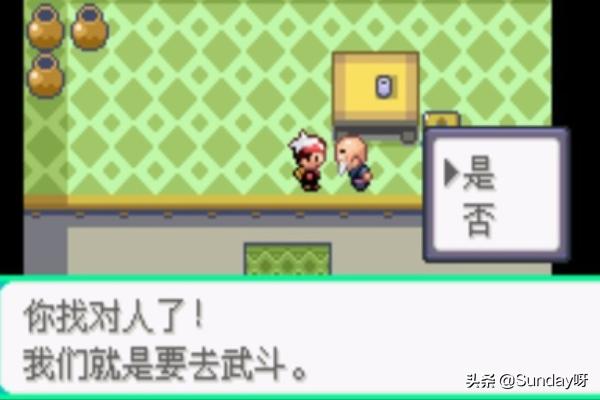 口袋妖怪漆黑的魅影_口袋妖怪漆黑的魅影5.0ex bw攻略