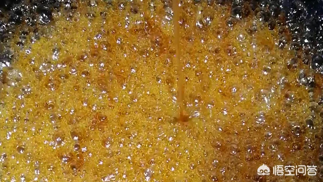 薯球_薯球的做法