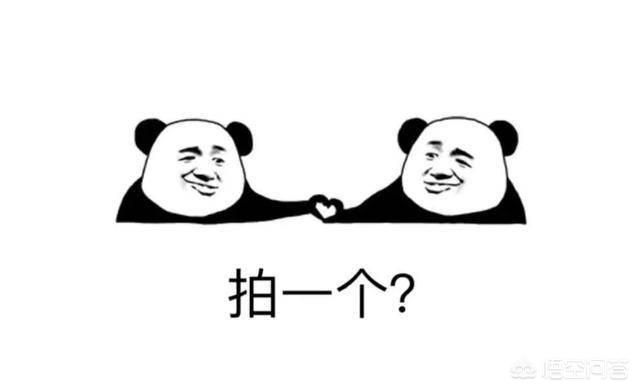 微信拍一拍在哪里_微信拍一拍在哪里设置