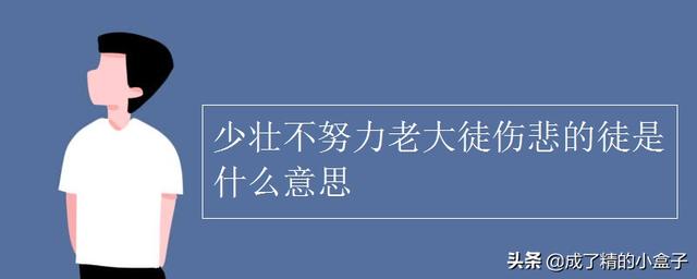 少壮不努力上一句_少壮不努力上一句是啥脑筋急转弯