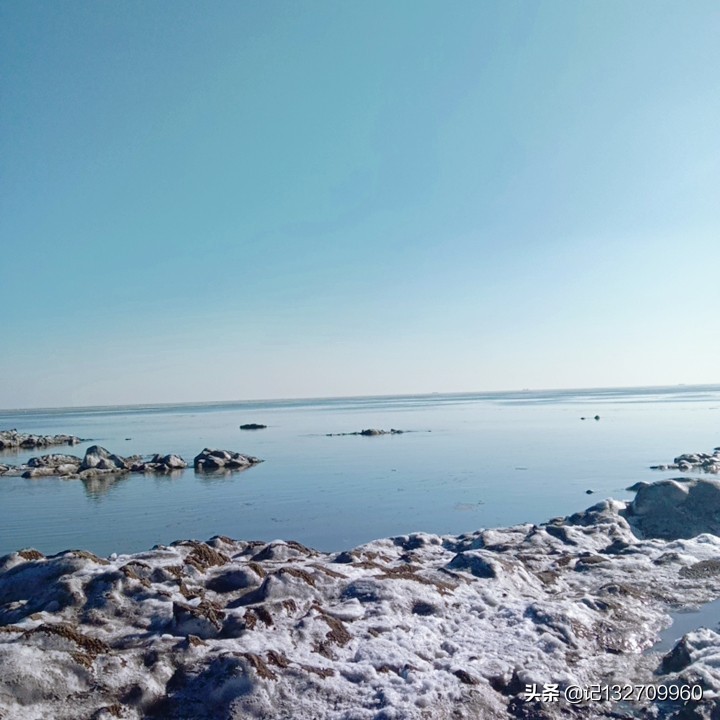 福利影院_浮力影院在线观看免费高清电视剧全集