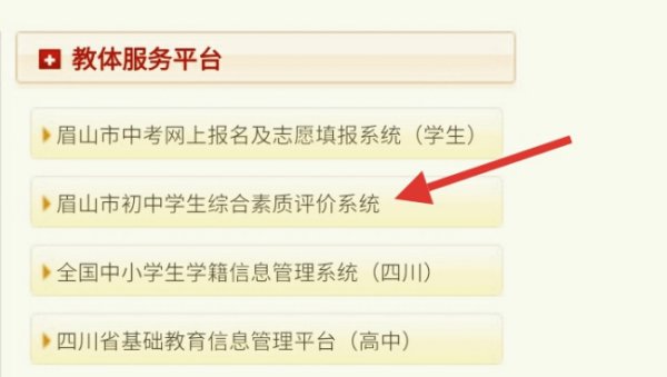 综合素质评价平台_综合素质评价平台登录入口