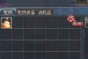 dnf宠物蛋_dnf宠物蛋大全