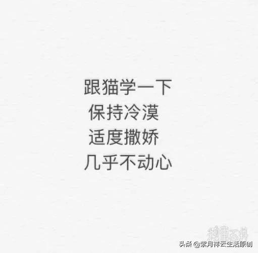 在线观看视频免费完整版_在线观看视频免费完整版:锦衣之下