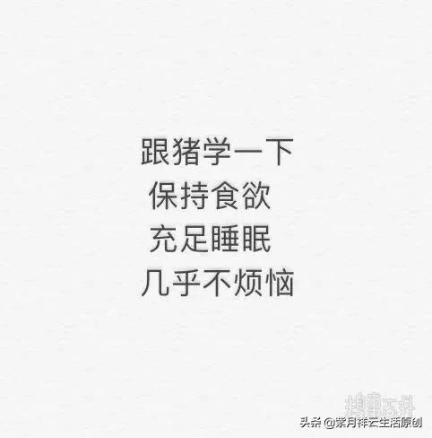 在线观看视频免费完整版_在线观看视频免费完整版:锦衣之下