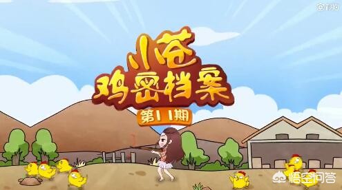 lol解说小苍_lol解说小苍去哪了