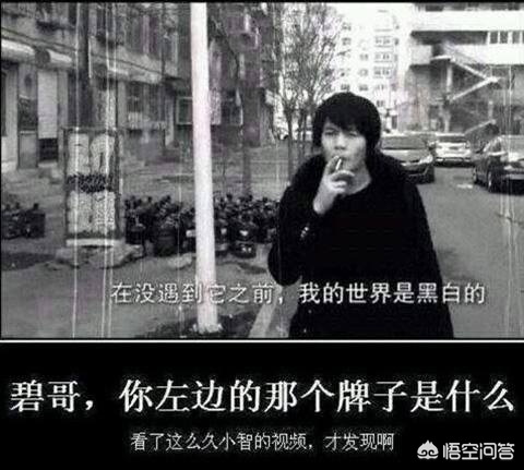 lol小智吧_lol小智吧宝可梦