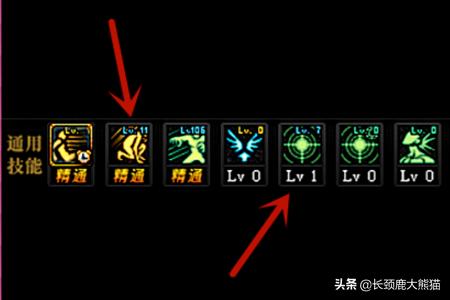 流浪武士加点_流浪武士加点图2024