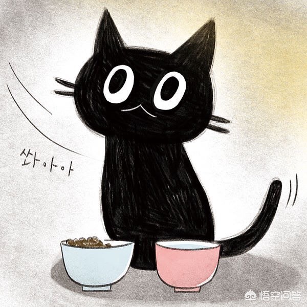浪猫直播软件下载_浪猫直播软件下载安装