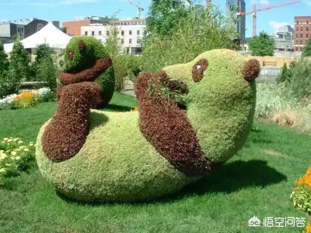 相伴视频_相伴视频下载网站