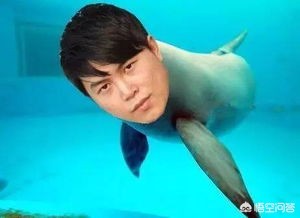 dota女解说_dota女解说都有谁