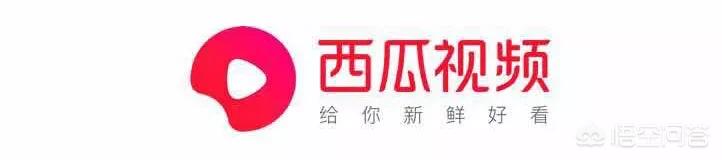 本色视频_本色视频显示版本低怎么办
