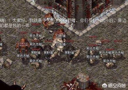 大极品传奇_大极品传奇手游