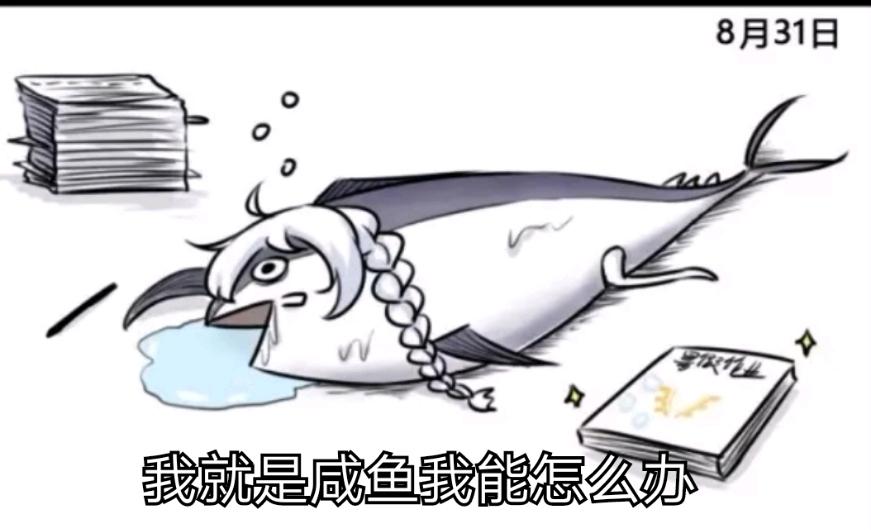 网站免费软件_网站免费软件有哪些