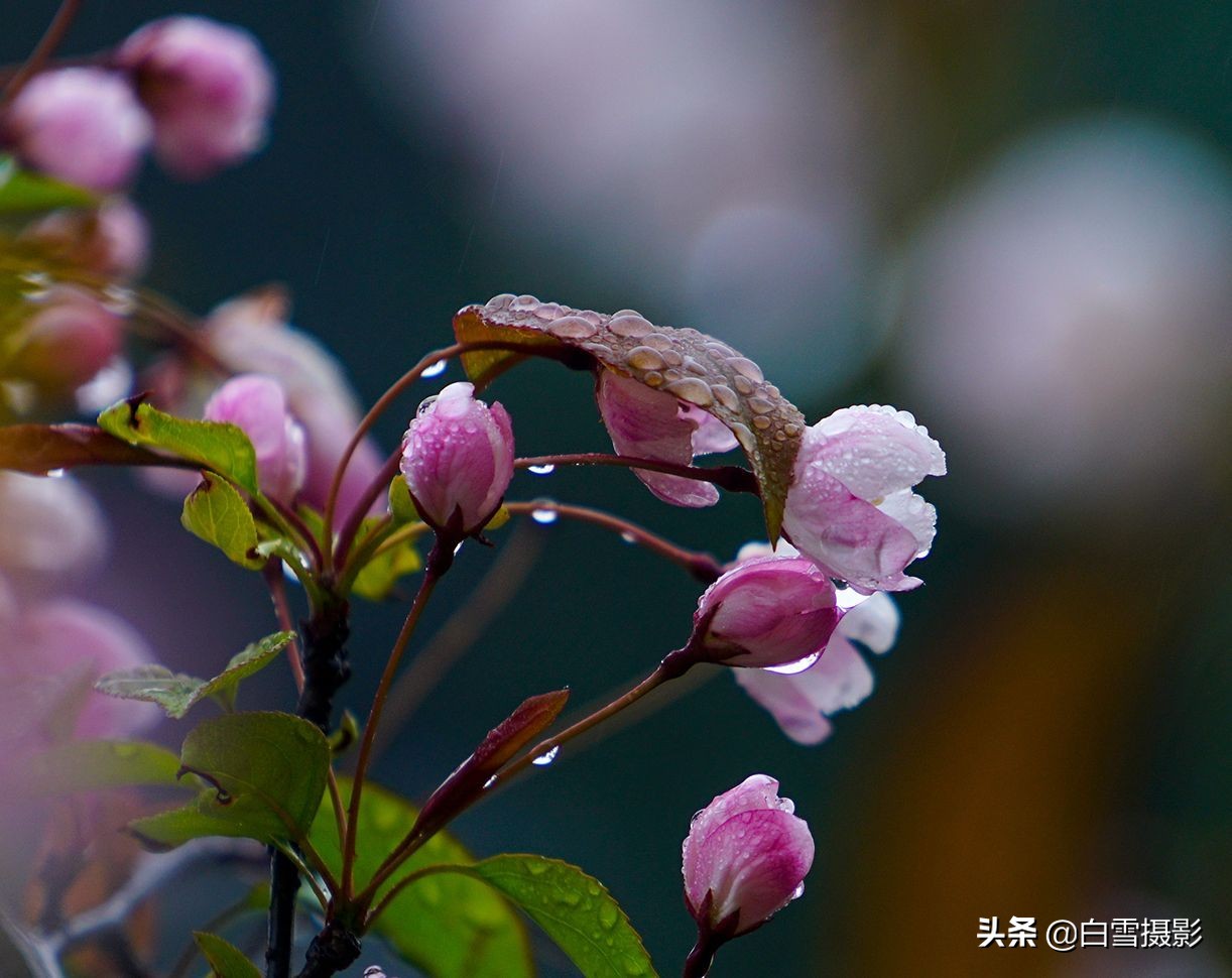 雨后的故事动态图片_雨后的故事动态图片找不到
