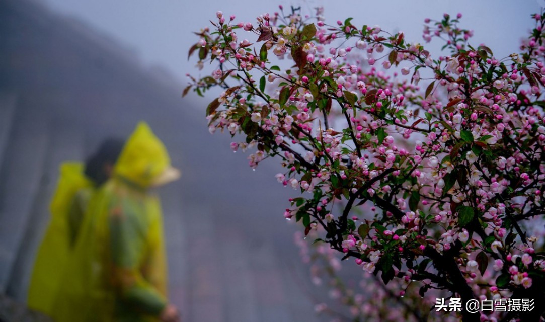 雨后的故事动态图片_雨后的故事动态图片找不到