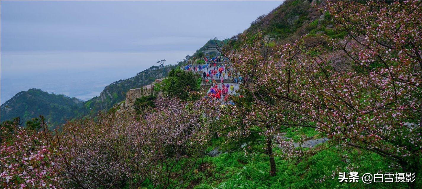 雨后的故事动态图片_雨后的故事动态图片找不到