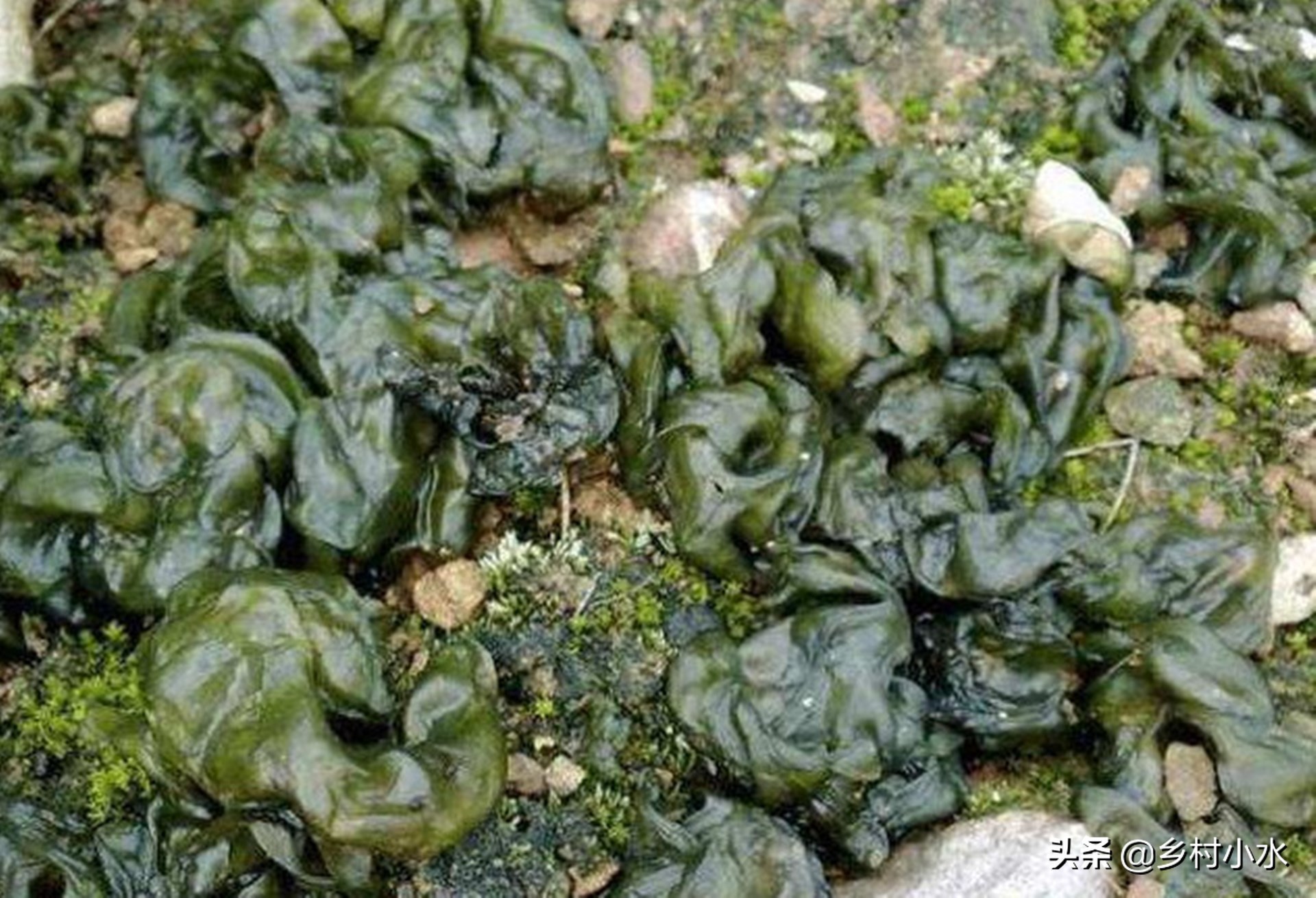 雨后的故事动态图片_雨后的故事动态图片找不到
