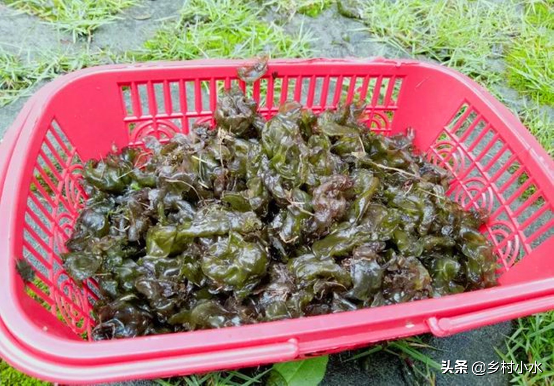 雨后的故事动态图片_雨后的故事动态图片找不到