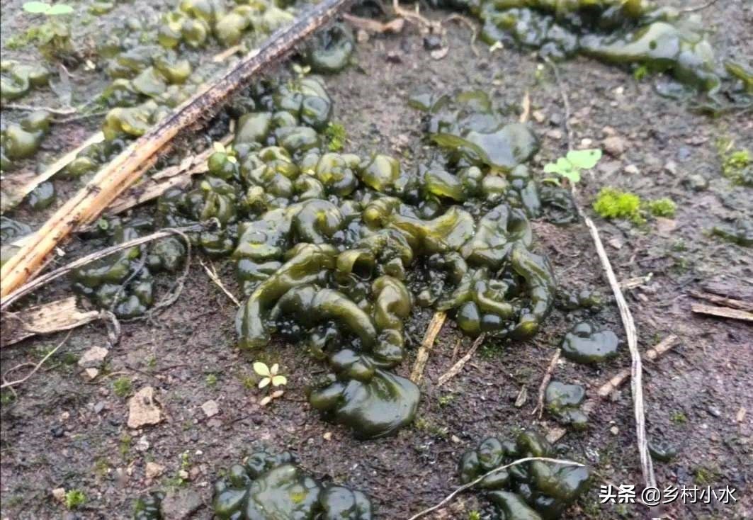 雨后的故事动态图片_雨后的故事动态图片找不到