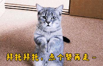 dota女生吧_dota女生吧 我有点帅 她一般漂亮