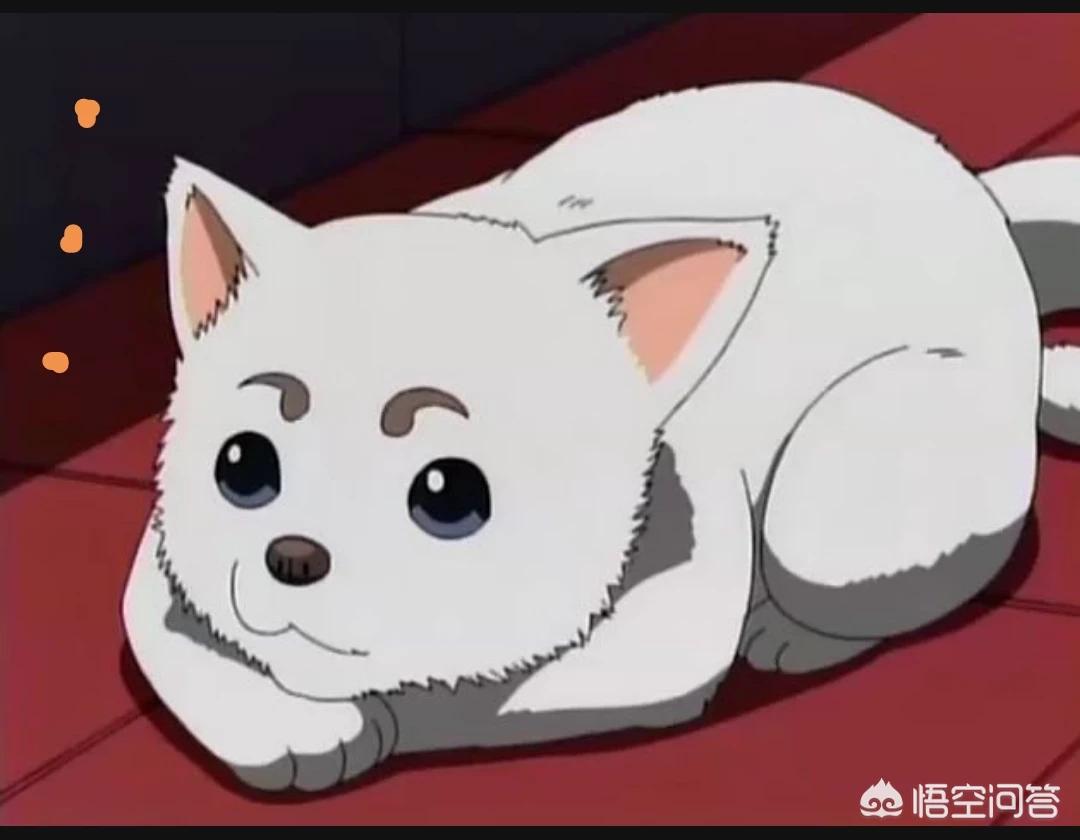 定春_定春是什么品种