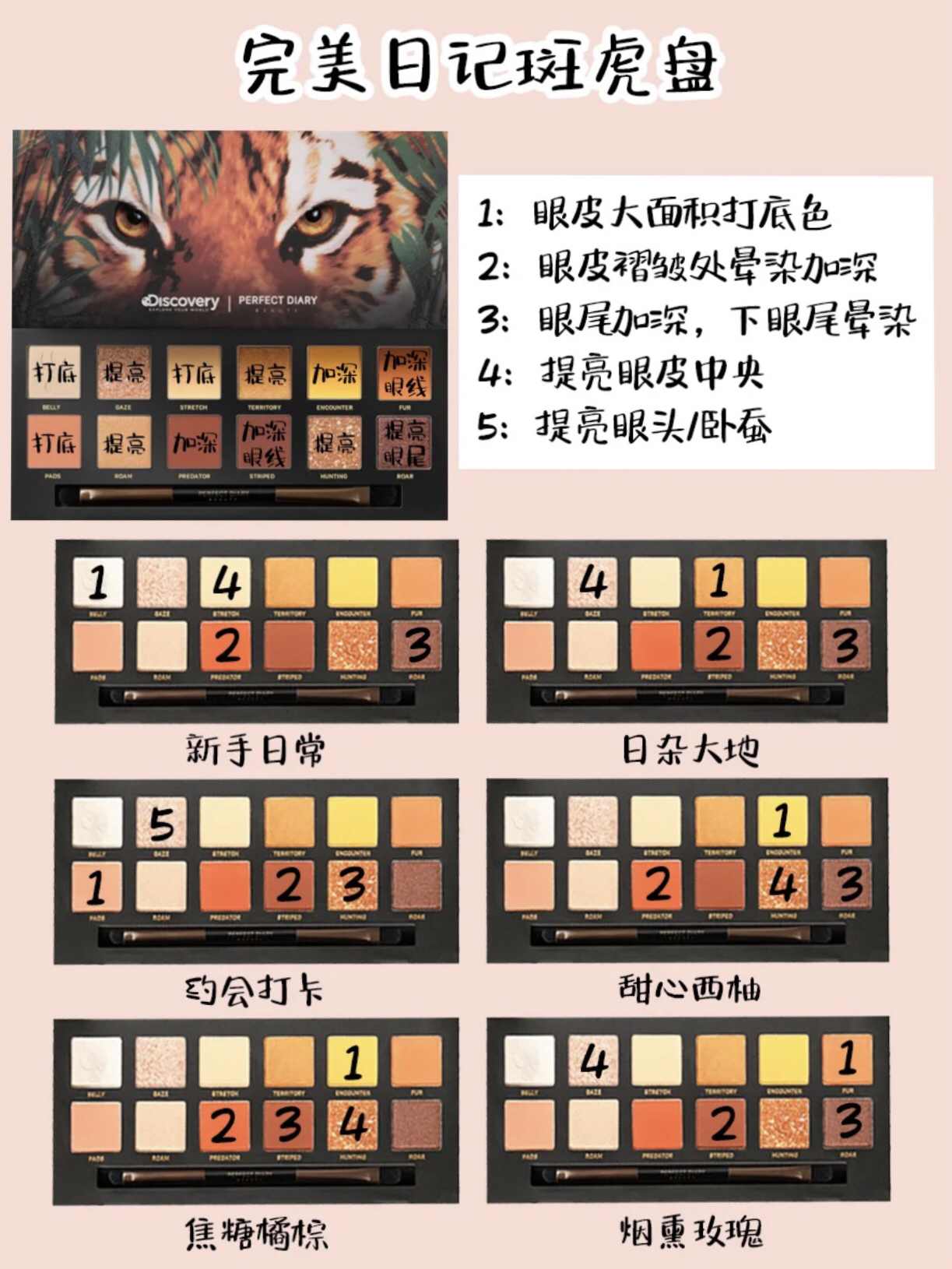 盘妹直播平台官方app下载_盘妹直播平台官方app下载安装