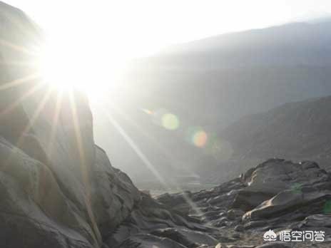 太阳视频_太阳视频破解版v7.110