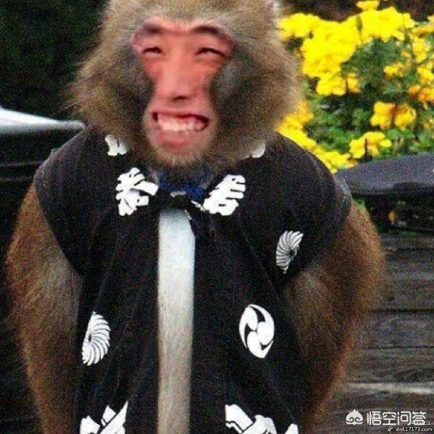 dnf红眼pk_DNF红眼PK视频