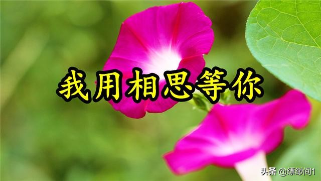 2019年双12_2019年双11晚会视频完整版