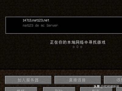 我的世界怎么开服_我的世界怎么开服务器