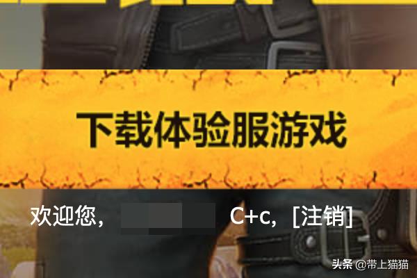 和平精英怎么玩体验服_和平精英怎么玩体验服地铁逃生模式