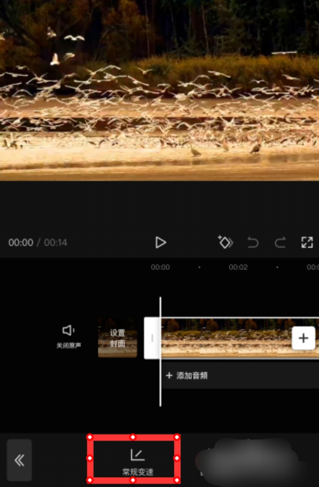 视频速度_视频速度如何调慢