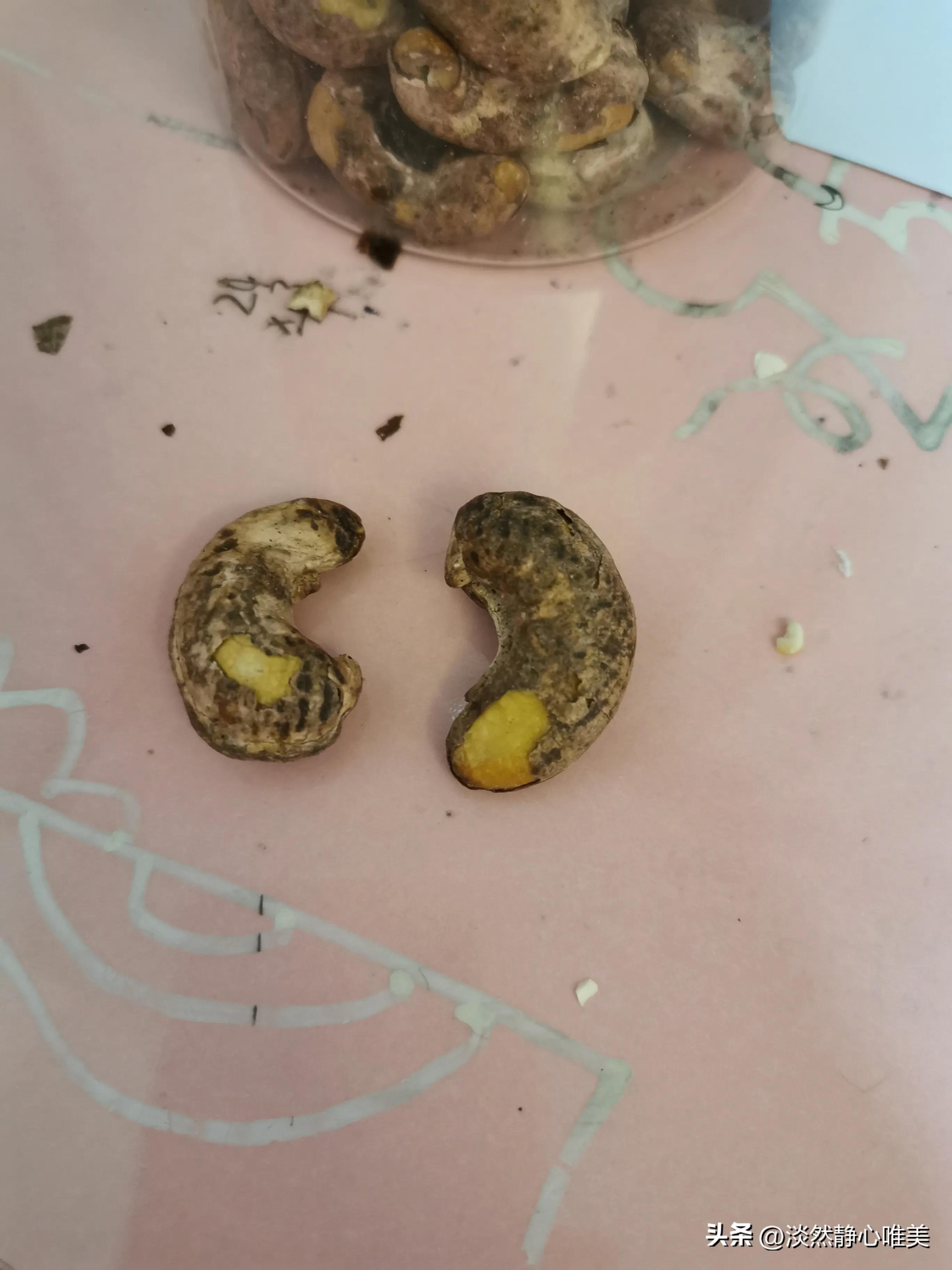 茉莉直播_茉莉直播改版后叫什么