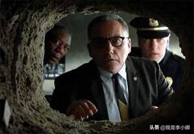 永久免费看片的软件_黄金网站app免费