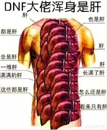 dnf养女儿活动_dnf养女儿活动攻略