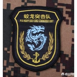 cf海豹突击队有什么好处_cf海豹突击队有什么好处和坏处