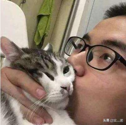 午夜0时的吻在线观看影院_午夜0时的吻在线下载