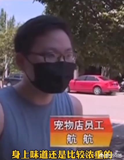 午夜0时的吻在线观看影院_午夜0时的吻在线下载