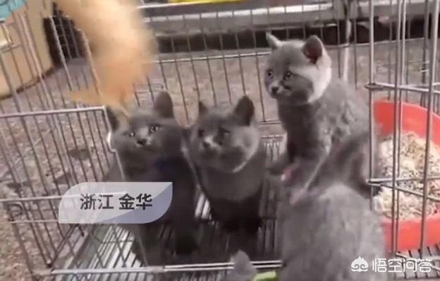 午夜0时的吻在线观看影院_午夜0时的吻在线下载